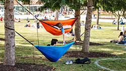 students in hammocks on campus 